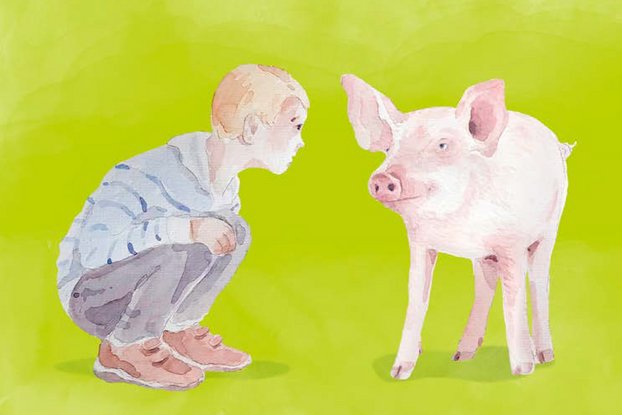 Kind hockt neben Schwein, Zeichnung