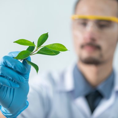 Wissenschaftler im Laborkittel hält Pflanze in behandschuhter Hand