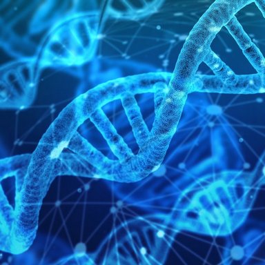 künsterlische Darstellung der DNA