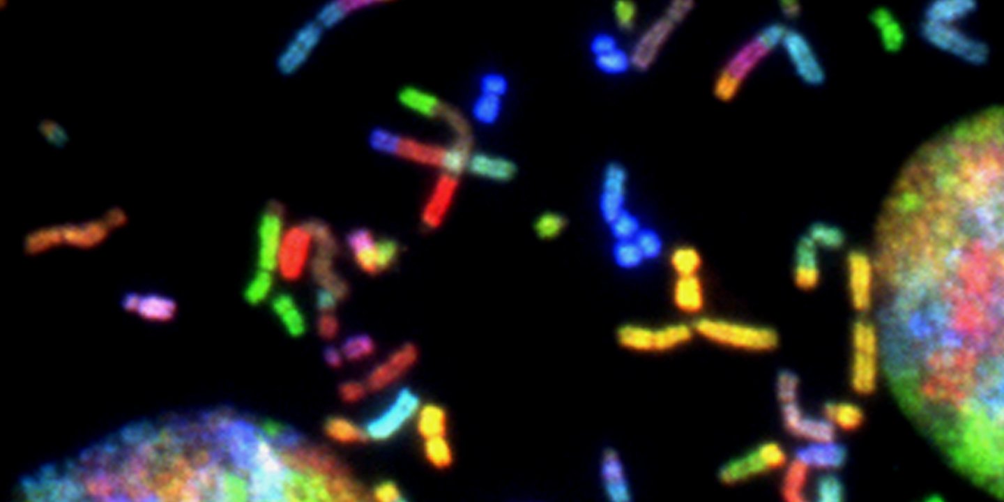 Bunte Chromosomen schweben vor schwarzem Hintergrund